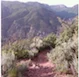Boy Scout MTB trail