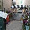 Dark Horse Alley Cafe