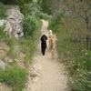 The Hunter Creek Trail
