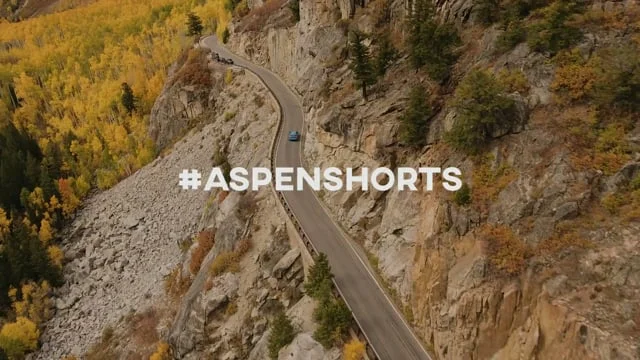 Autumn in Aspen